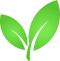 Green leaf